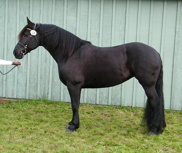 ResultsYelm Washington 2010